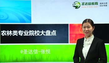 专业讲解