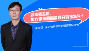 志愿填报